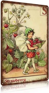 Flower Fairy Wall Decor Vintage Metal Tin Signs Fairy Garden Accessories - Straw - Picture 1 of 102