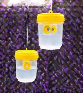 2pk Wasp Trap Fly Insect Catcher Repellent Outdoor Deterrent Fruit Pest Control - Picture 1 of 24