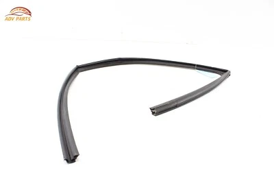 RAM 1500 2019-24 puerta delantera izquierda lado del conductor ventana cristal canal de funcionamiento sello OEM Foto 1 de 4