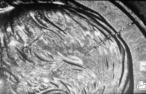 2014 P Roosevelt dime Die crack errors Obv/ Lamination error Reverse - Picture 1 of 7