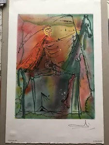 Salvador Dali-Le Cheval de la Mort-Les Chevaux de Dali-Lithografie - Bild 1 von 10