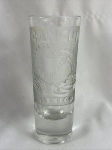 Cancun Mexico Tall Shooter Shot Glass Etched Clear Frosted Dolphins 2oz - Picture 1 of 6