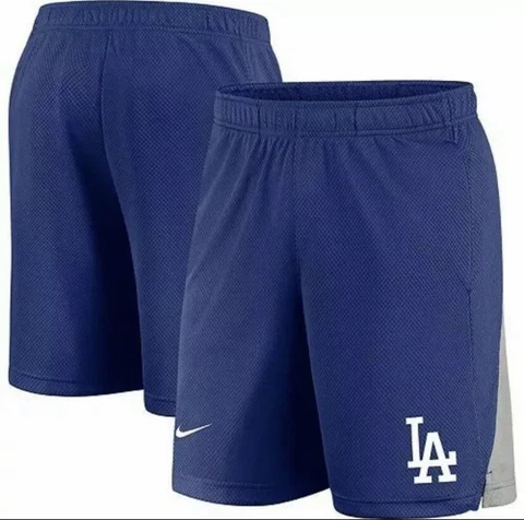 Nike LA Los Angeles Dodgers Team Logo Franchise Shorts MLB Men’s L XL N256-018P Cover