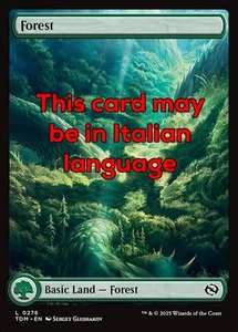 MTG FOREST 276 FOIL EXC - FORESTA - TDM X IT - MAGIC - Picture 1 of 1