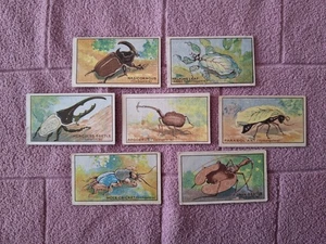 MAYNARD - STRANGE INSECTS - PART SET 7/12  abt / nr GD - Picture 1 of 2