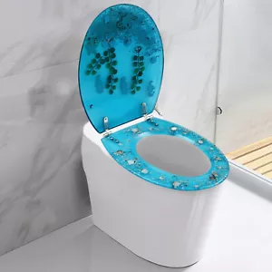 Transparent Elongated Toilet Seat, Slow Close Toilet Seats, Strong Hinges - Picture 1 of 16