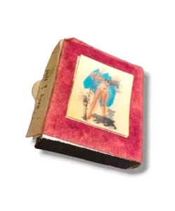 Vintage Matchbox Sexy Lady Dog Flower Motion Match Boxes Matches Collectible - Picture 1 of 10
