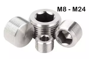 Stainless Steel Internal Hex Male Metric Blanking Plug M8 M10 M12 M14 M16 M20 - Picture 1 of 1