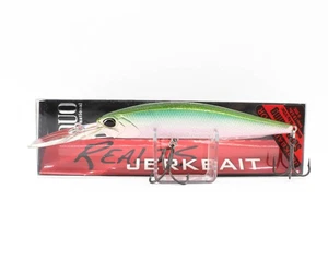 Duo Realis Jerkbait 100 DR Buceo Profundo Suspensión Köder CCC3254 (4527) - Imagen 1 de 6