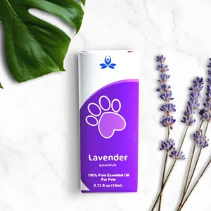 Pet Lavender Essential Oil - Picture 1 of 8