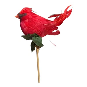 Blumen - Cardinal Pick - Bild 1 von 2