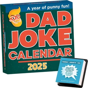Daily Dad Jokes 2025 Calendar Funny Pun Joke Gag Gift New Sealed - Picture 1 of 8