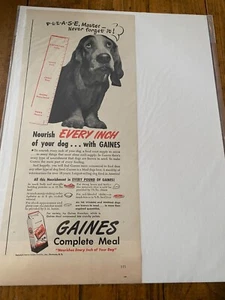 Vintage 1946 Gaines Dog Food Nourish Every Inch Basset Hound Dog ad - Picture 1 of 1