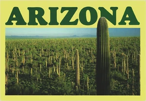 Postcard:  Saguard National Monument, Tucson, Arizona, USA - Picture 1 of 2