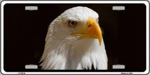 Bald Eagle Photographic Metal Novelty License Plate Car Front Tag - Picture 1 of 1