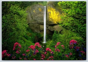 Oregon Latourell Falls Waterfall Vintage Postcard Continental - Picture 1 of 2