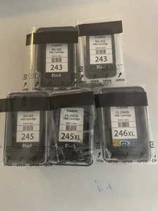 Lot of 9 Empty Canon Ink Cartridges 243-244-245-245XL-246XL - Picture 1 of 2
