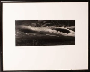 Fine Art Schwarz-Weiß Fotografie "Treibholzaugen". Von Daniel Michael Sierchio - Bild 1 von 1