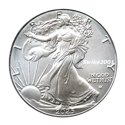 New !!! Dollaro USA 2025 Oncia Argento Liberty Eagle 1 oz. NEW !!! - Immagine 1 di 2