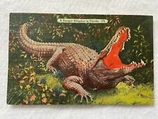 A Hungry Alligator in Florida Vintage Postcard