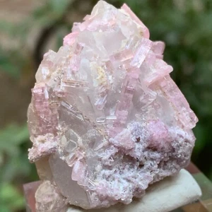 Rare Baby Pink Tourmaline Crystals Bunch Specimen on a Smoky Quartz, 44.58 Grams - Picture 1 of 16