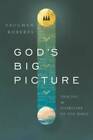 God's Big Picture: Tracing the Storyline of the Bible - Paperback - VERY GOOD