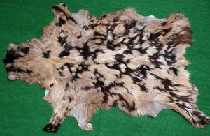 New Goat hide Rug Hair on Area rug Size 36"x24" Animal Leather Goat Skin G-420 - Picture 1 of 3
