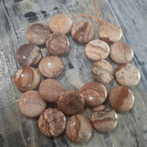Natural Picture Jasper, Flat Round ,20x9mm, 20 pce strandFree postage. Oz Seller - Bild 1 von 4