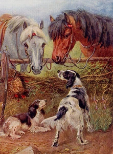 ENGLISH SETTER CHARMANTE HUND GRUSS NOTIZKARTE ZWEI SCHÖNE HUNDE UND PFERDE - Bild 1 von 1