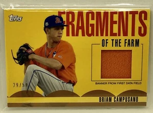 2020 Gold Topps Pro Debut Briam Campusano Fragments of the Farm Banner Relic /50 - Foto 1 di 2