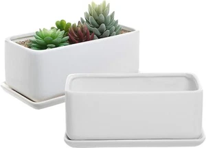 White Ceramic Rectangular Succulent Planter Pot w/ Removable Drip Tray, Set of 2 - Picture 1 of 7
