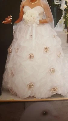 wedding gown & veil pre owned - Image 1 of 4