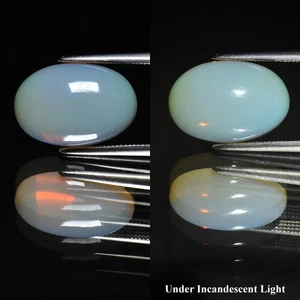 π 3.39ct 14.5x10mm Oval Cabochon Natural White Opal - Color Play, Ethiopia Gem - Picture 1 of 6