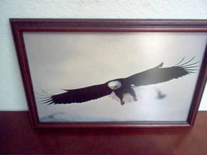 Bald Eagle In Flight Dick Hancock Signature Series Custom Framed Photo  9" X 14" - Picture 1 of 6