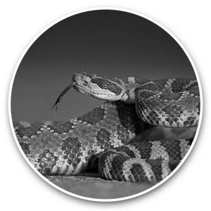 2 x Vinyl Stickers 20cm (bw) - Beautiful Rattlesnake Snake #41938 - Afbeelding 1 van 8
