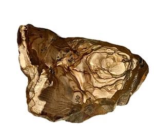 "Increíble losa de jaspe de imagen de dos caras de 2,2 OZ 62 gramos de aproximadamente 4x3"" de grosor" - Imagen 1 de 7