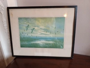 Vintage Lithographic Print for Sir Peter Scott signed printed 1949 - Picture 1 of 7