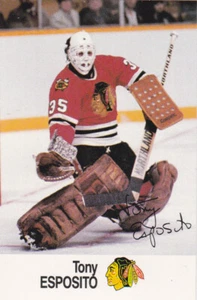88/89 ESSO..TONY ESPOSITO..ALL-STAR COLLECTION STICKER..BLACKHAWKS.COMBINED SHIP - Picture 1 of 1