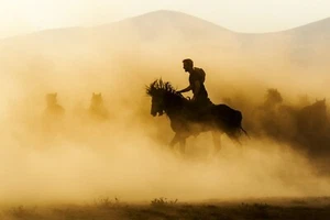Outlaw von Emir Bagci Cowboy und Pferd Fotografie Giclée-Kunstdruck kostenloser Versand - Bild 1 von 4