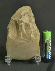 Neolithische Steinaxt aus dem antiken Deutschland um 2800-2400 v. Chr.  - Bild 1 von 10