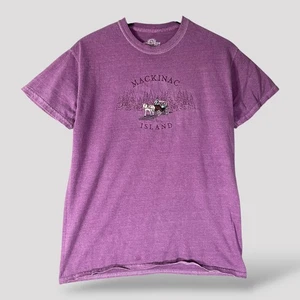 Camiseta Mackinac Island Horse Carriage Gráfica Bordada Púrpura Talla Mediana - Imagen 1 de 8