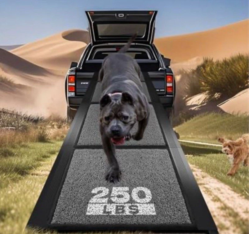 71” Folding Dog Ramp for Car SUV Truck - Image 1 of 2