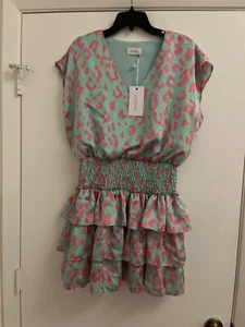 Adrienne boutique brand . Brand new with tag,ruffled tier print dress size Large - Picture 1 of 8