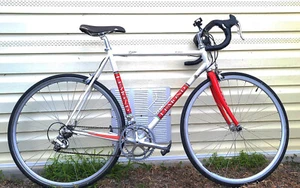 Bicycle - Vintage Greg Lemond / Campy - Picture 1 of 17