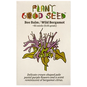 Bee Balm / Wild Bergamot Seeds - Picture 1 of 1