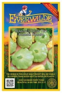 40 Bennings Green Tint Scallop Summer Squash Seeds - Everwilde Farms Mylar - Picture 1 of 3