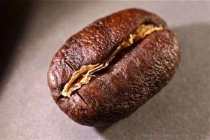 JAMAICAN BLUE MOUNTAIN COFFEE BEANS PEABERRY MEDIUM ROASTED 4 POUNDS - Picture 1 of 21