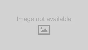 REPLACEMENT CABLE AND PIN - Picture 1 of 1