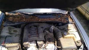 Temperature Control Without Automatic Temperature Fits 05-07 300 761400 - Imagen 1 de 10
