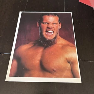 Wwe Chris Jericho Photo - Picture 1 of 1